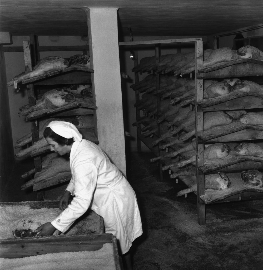 Caterina Castellani guida azienda e ampliamento cantine