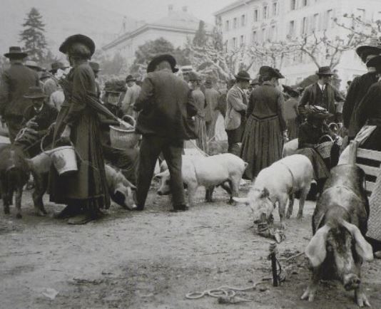 Una storia che profuma di territorio